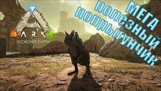 ARK: Survival Evolved (карта SE) - 5 - Первые киблы, Прокоптодон и Носорог (из "Атласа")