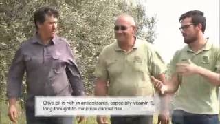 The Garden Gurus - Tathra Homestead: Organic Olive Oil