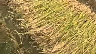 latest technology must watch this video