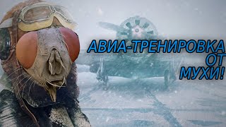 Открытая авиа-тренировка от Мухи. [Planetside2]