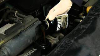 Forte Oil System Protector
