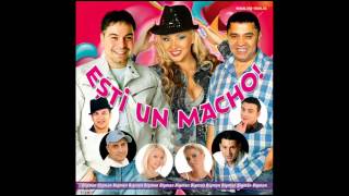 Babi Minune - Buzunare goale (Audio oficial)