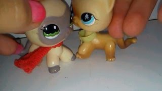 Littlest Pet Shop(LPS)"Любовь пацанки"1 сезон 12 серия"Пока придурок"