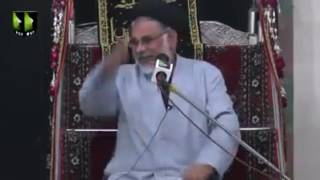 Allama Hassan Zafar Naqvi about Ameer Mukhtar
