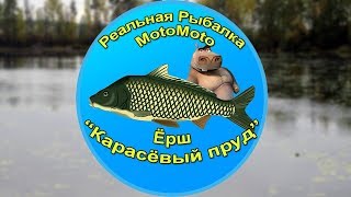 Как поймать Ерша на Карасёвом пруду | Реальная рыбалка