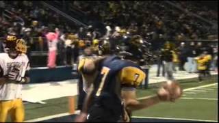 Whitmer Panthers pounce Avon Lake 28-0