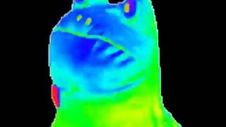 Mlg frog - Green screen affect