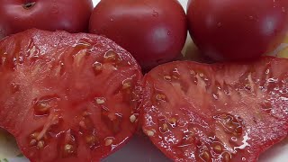 ТОМАТ САХАРНЫЙ БИЗОН. №157. ДЕГУСТАЦИЯ. 