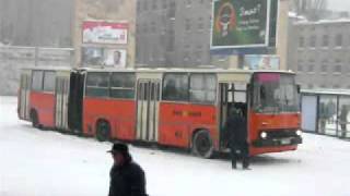 Ikarus walczy ze śniegiem