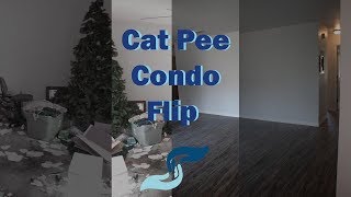 Cat Pee Condo to Lavish Comfortable Condo
