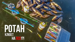 На что клюет РОТАН? НА все! Проверяем разные приманки. Леонидыч на рыбалке.