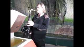 Vestmannaeyjar The circle tour by boat