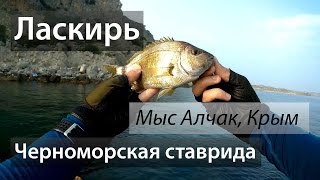 Чёрное море, мыс Алчак, Крым. Ставрида. Ласкирь. 2016/07.
