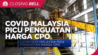 Covid-19 Di Malaysia, Picu Penguatan Harga CPO