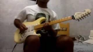 Litte wing cover Hendrix
