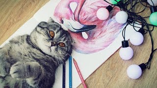 Техника рисования цветными карандашами: Как рисовать ФЛАМИНГО