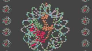 Nucleosome: Histone Octamer and Wrapping DNA
