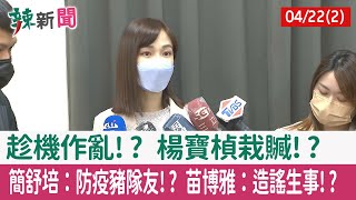 【辣新聞152 重點摘要】趁機作亂!? 楊寶楨栽贓!? 簡舒培：防疫豬隊友!? 苗博雅：造謠生事!? 2022.04.22(2)