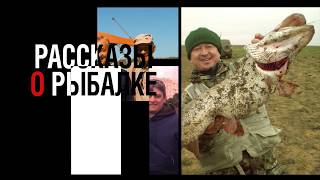 Kazakhstan Fishing. Рыбалка на Жереха осенью ( Казахстан, река Или)