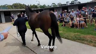 November 2019 Open Day @ Warwick Farm