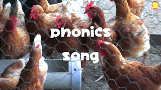 เพลงออกเสียงคำศัพท์สัตว์ A-Z Phonics song | คำศัพท์สัตว์ภาษาอังกฤษ A-Z สัตว์ตัวเป็นๆน่ารักๆ