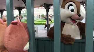 【TDL】チップとデールの可愛い開園前のご挨拶♪