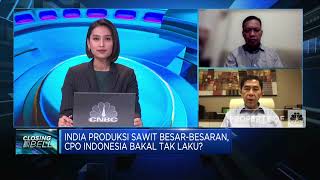 Pengusaha "Pede" Produksi CPO India Tak Ganggu Ekspor RI