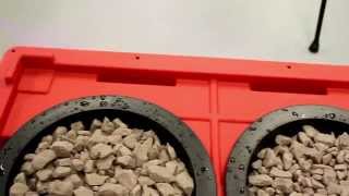 Remo Nutrients R&D - $100 DIY Heavy Duty Hydroponic System