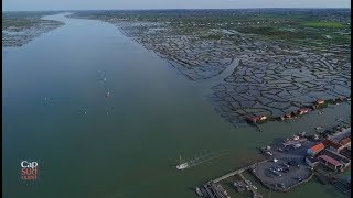 Cap Sud Ouest: la Seudre, histoires d'eaux
