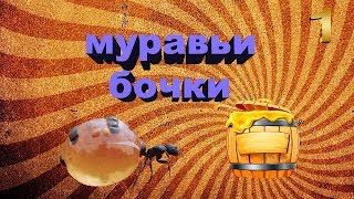 МУРАВЬИ БОЧКИ?Proformica mongolica?