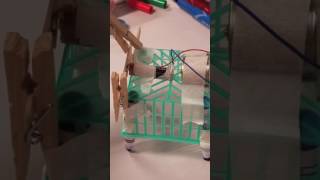 Squiggle Bot!