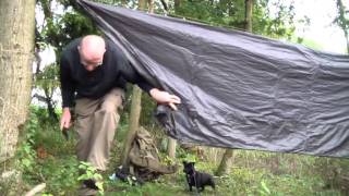 Tawny owl wood part 1
