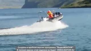 Лодка РИБ Trident Piton 450 + Honda BF50