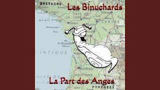 Le fou du roi
