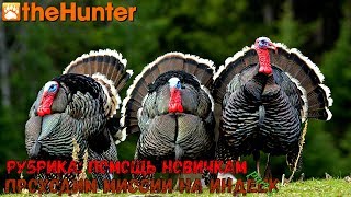 theHunter Classic/Рубрика: помощь новичкам/миссии на индюка ч. 3/turkey missions