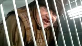 Бабка ваше жгёт это прикол века