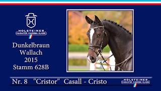 1. Holsteiner Winter-Chance | Nr. 08 Cristor