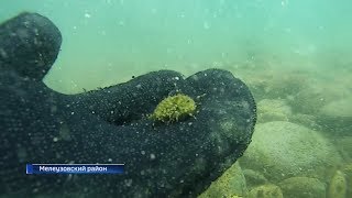 Слепые раки, найденные на дне Юмагузинского водохранилища, не встречаются нигде в мире