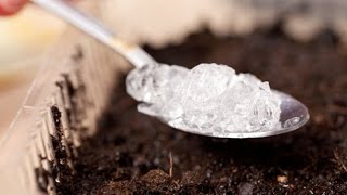 Гидрогель для цветов
