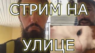 ПЕРВЫЙ СТРИМ МЭЛА В РЕАЛЬНОЙ ЖИЗНИ, ВЫПОЛНЕНИЕ САБКВЕСТА "ДЕРЕВО ДЛЯ САБОВ"