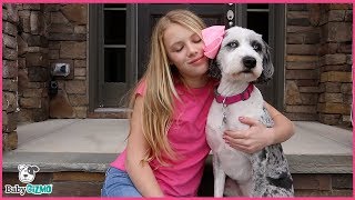 HAPPIER PARODY Marshmello ft. Bastille - Mom & Teen Music Video