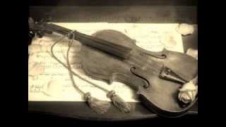 เธอคือใคร (ทวิภพ) Violin Cover ไวโอลิน