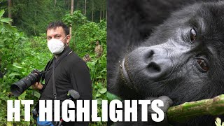 H ΜΕΡΑ ΠΟΥ ΣΥΝΑΝΤΗΣΑ ΤΟΝ SILVERBACK #happytraveller