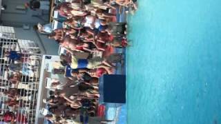 Huge Belly Flop