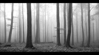 Hermóðr - Vinter