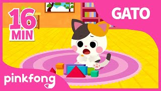 Canciones de Gatos | Bebé Gato y muchas más | +Recopilación | Pinkfong Canciones Infantiles