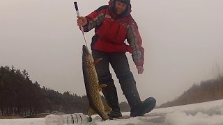 Большая щука Щука на бутылку Зимняя рыбалка Pike fishing