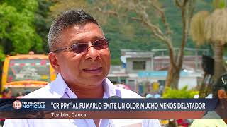 Informe especial cultivos ilícitos y drogas - Toribío I