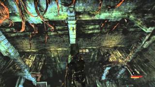 Styx Master of Shadows - El Arquitecto 4/4 - reliquia