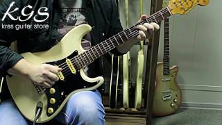 Aria Pro II Strikin` Sound Stratocaster ST 500